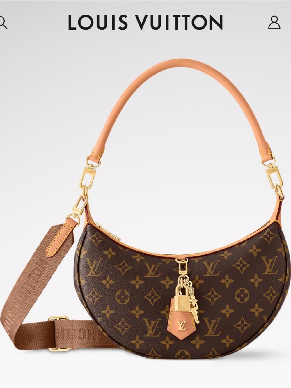 Louis Vuitton looping bag